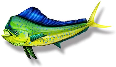 TWIN "EL DORADO"